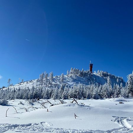 Bergtraum Braunlage Im Harz, 17 Gaeste, Sauna, Pool Villa Bagian luar foto