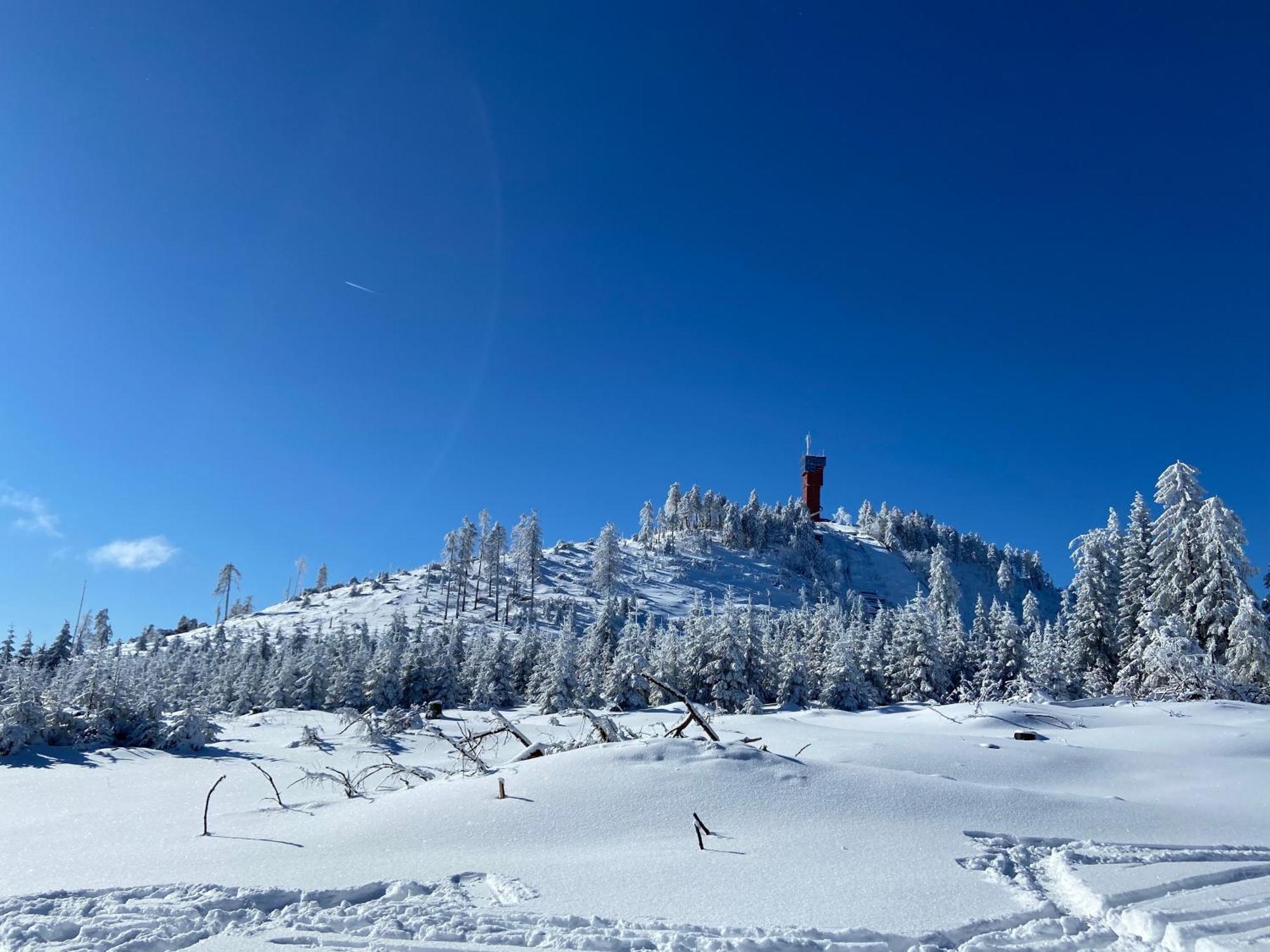 Bergtraum Braunlage Im Harz, 17 Gaeste, Sauna, Pool Villa Bagian luar foto