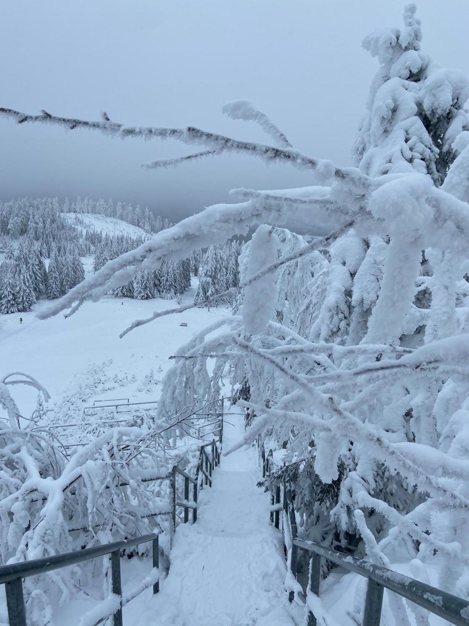Bergtraum Braunlage Im Harz, 17 Gaeste, Sauna, Pool Villa Bagian luar foto