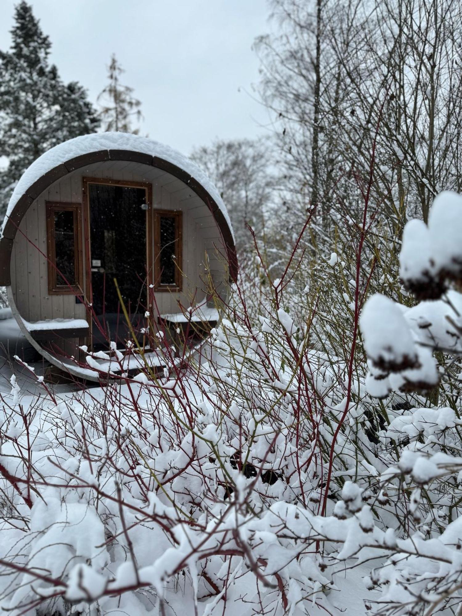 Bergtraum Braunlage Im Harz, 17 Gaeste, Sauna, Pool Villa Bagian luar foto